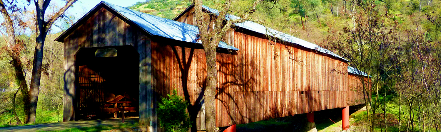 Banner image of Chico